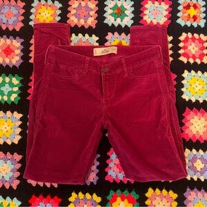 Women Hollister Jeans